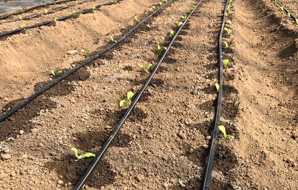 Vorbereitung für den Winter - Neues vom Hof - Gärtnerhof Kohler