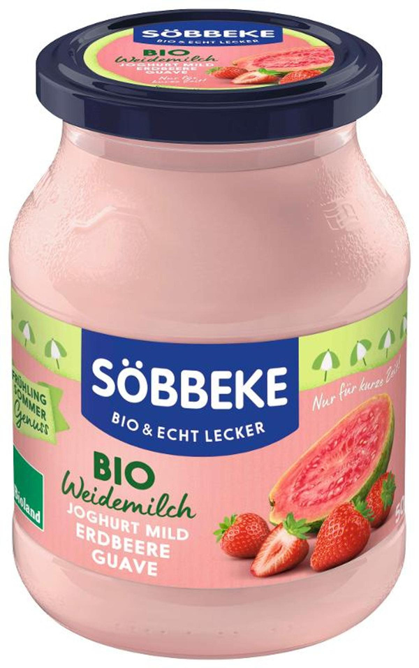 Produktfoto zu Sommerjoghurt Erdbeere Guave 500g