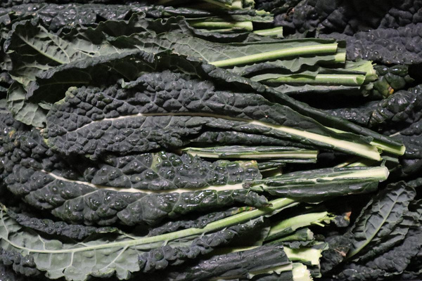 Produktfoto zu Schwarzkohl