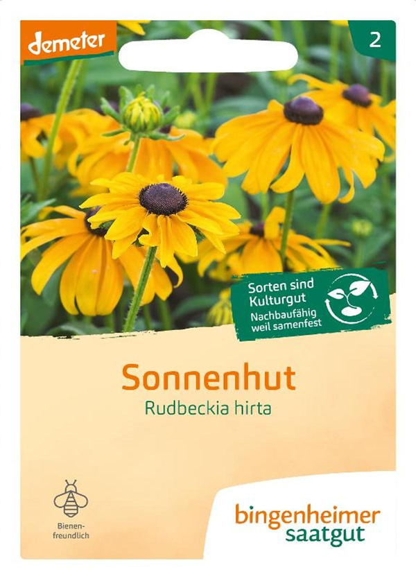 Produktfoto zu Sonnenhut Rudbeckia hirta