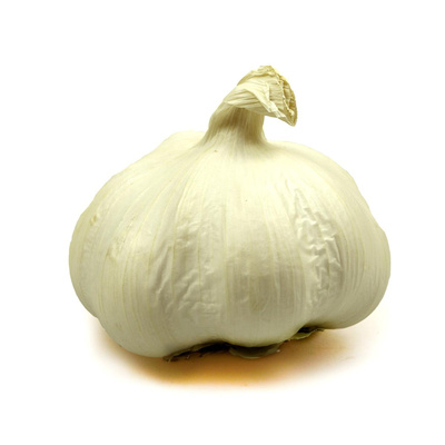 Produktfoto zu Knoblauch Knolle