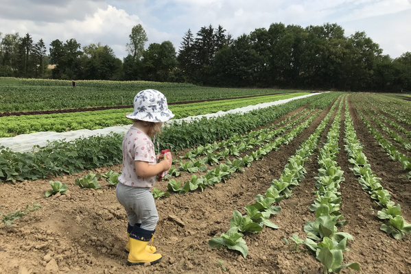 KI generiert: Ein Kind mit Hut und Gummistiefeln steht auf einem Gemüsefeld.