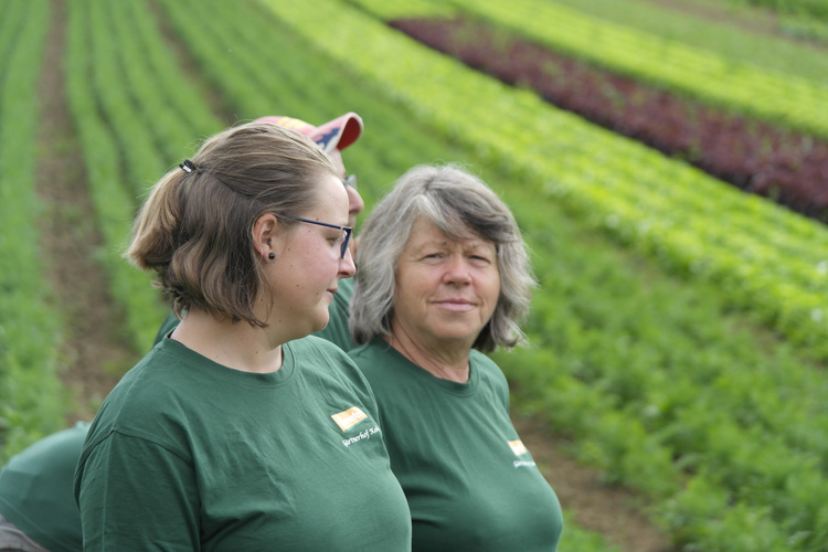 KI generiert: Personen auf einem Feld mit grünen T-Shirts, im Hintergrund sind Reihen von Pflanzen.