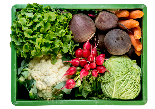 KI generiert: Eine Kiste mit frischem Gemüse: Salat, Karotten, Radieschen, Kohlrabi, Blumenkohl und Rote Bete.