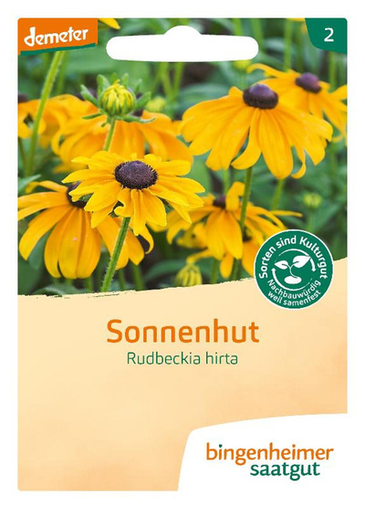 Produktfoto zu Sonnenhut Rudbeckia hirta