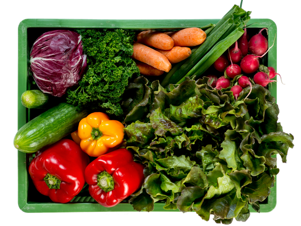KI generiert: Eine Kiste mit frischem Gemüse: Salat, Paprika, Karotten, Radieschen, Gurke und Kohl.
