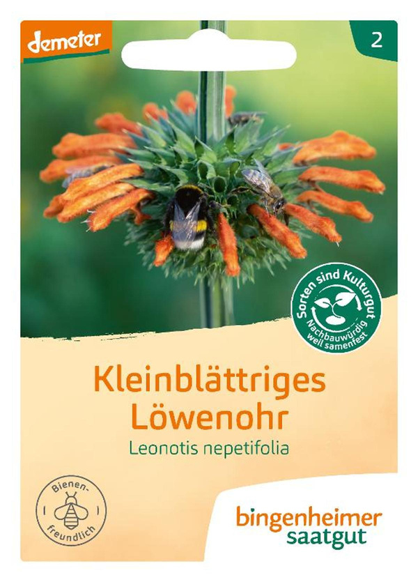 Produktfoto zu Kleinblättriges Löwenohr Saatgut