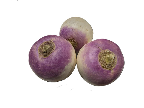 Produktfoto zu Navet Rübchen lila