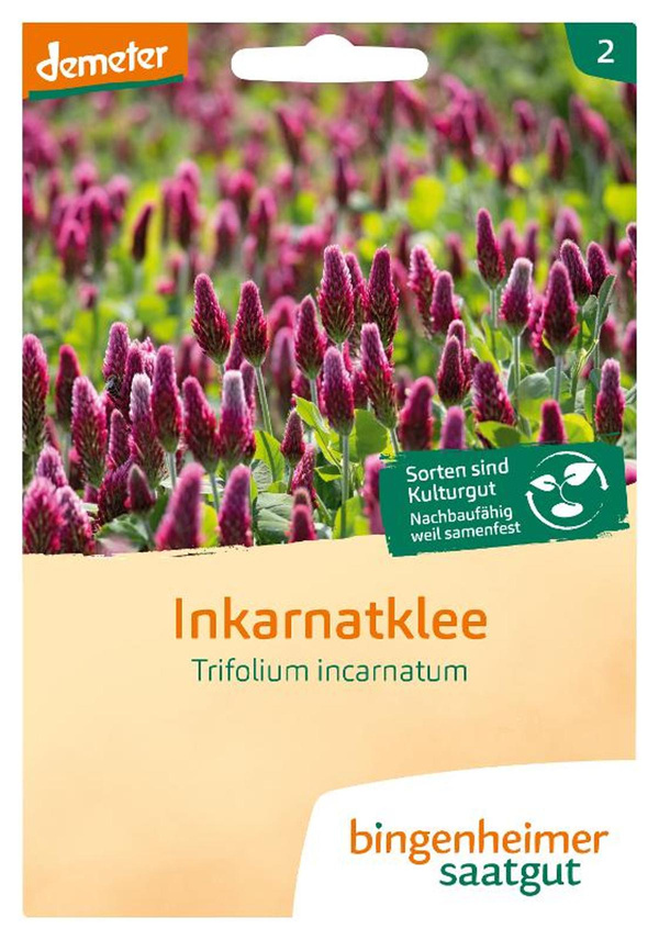 Produktfoto zu Inkarnatklee