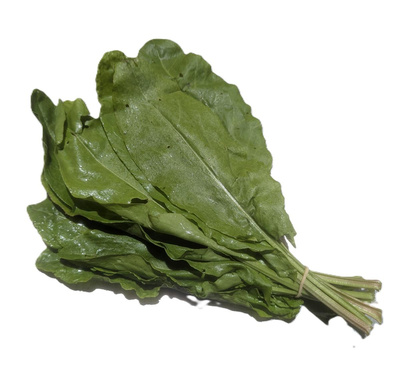 Produktfoto zu Sauerampfer Bund