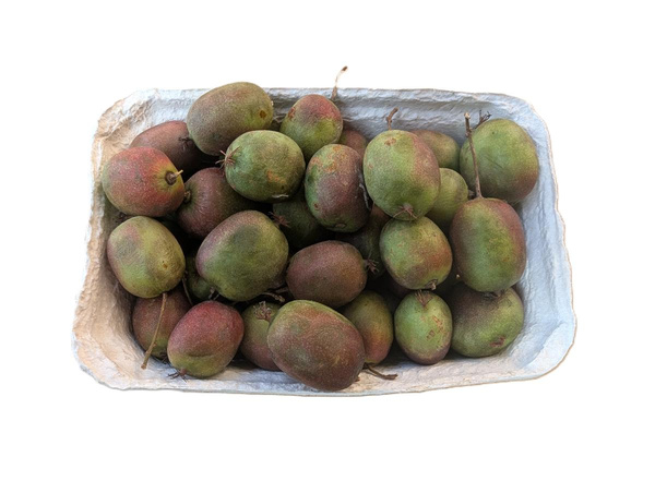Produktfoto zu Kiwis Mini 200g Schale