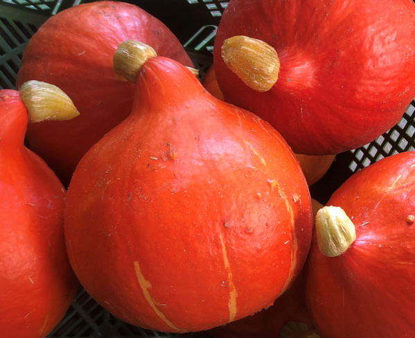 KI generiert: Hauptinhalt des Bildes sind frische, rote Äpfel in einer Holzkiste.