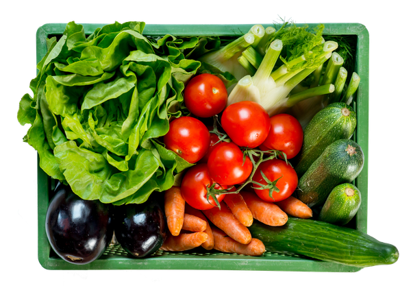 KI generiert: Ein grüner Korb mit frischem Gemüse: Salat, Tomaten, Auberginen, Möhren, Gurken und Zucchini.