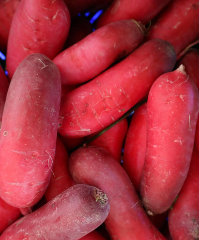 Produktfoto zu Rettich rot