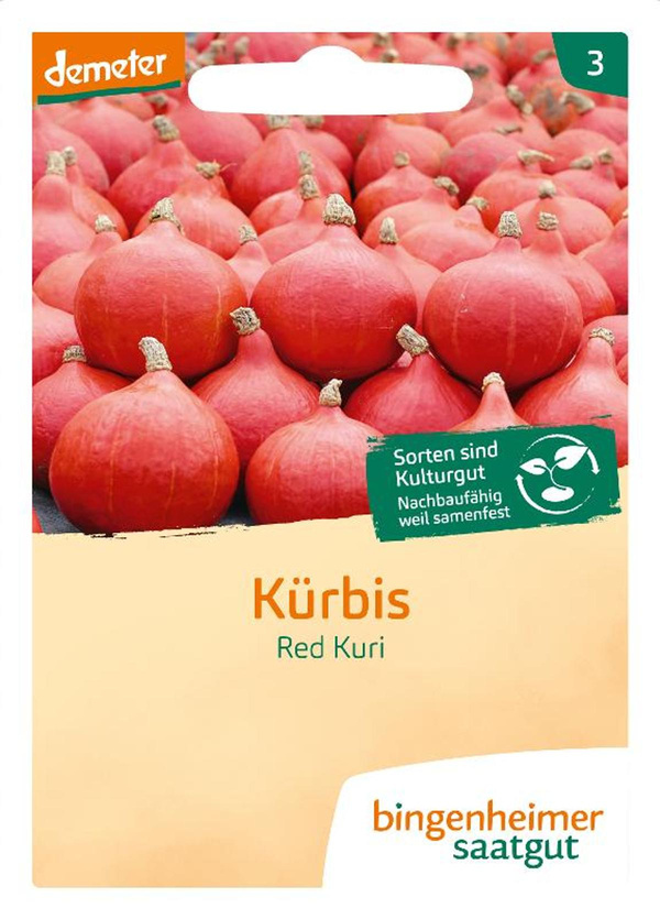 Produktfoto zu Hokkaido Kürbis Red Kuri