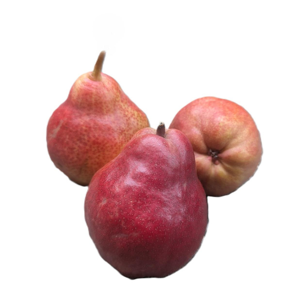 Produktfoto zu Birnen