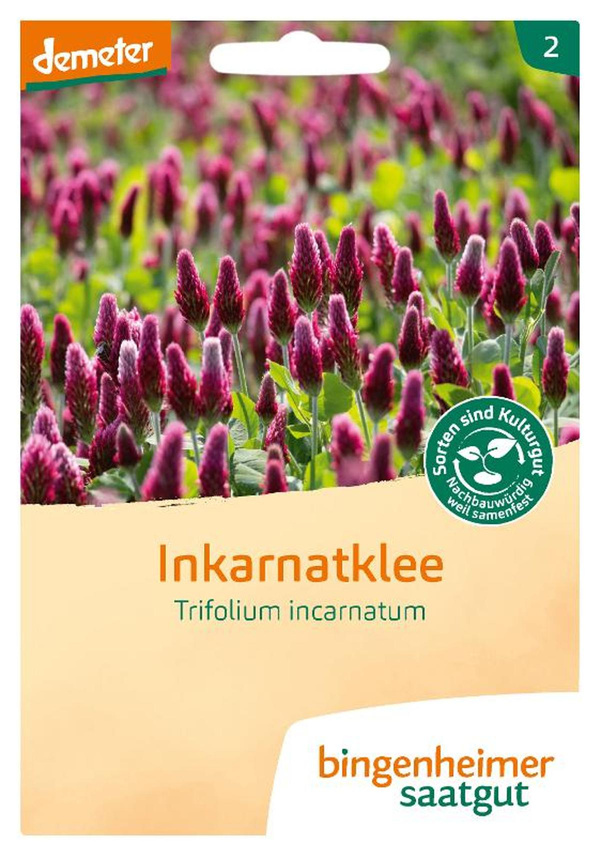 Produktfoto zu Inkarnatklee