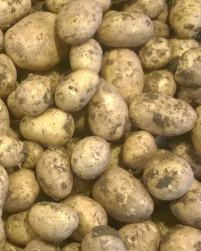 Produktfoto zu Kartoffeln Marabel vfk