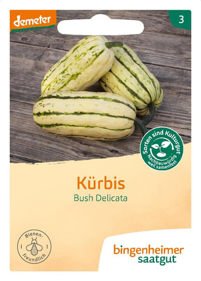 Produktfoto zu Kürbis Bush Delicata