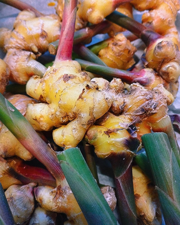 Produktfoto zu Ingwer frisch