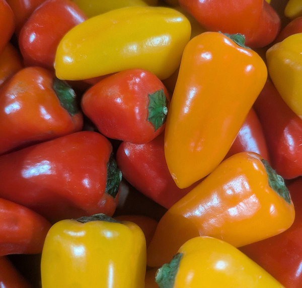 Produktfoto zu Snackpaprika spitz bunt