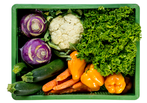 KI generiert: Eine Kiste mit frischem Gemüse: Kohlrabi, Blumenkohl, Salat, Zucchini, Karotten und gelbe Paprika.