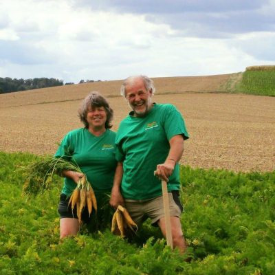 KI generiert: Zwei Personen in grünen T-Shirts ernten Karotten auf einem Feld.