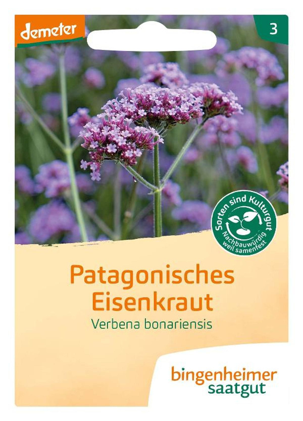 Produktfoto zu Patagonisches Eisenkraut