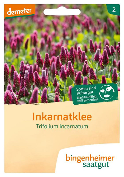 Produktfoto zu Inkarnatklee