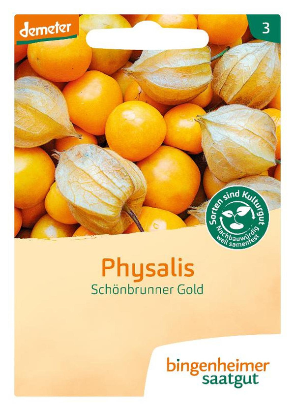Produktfoto zu Physalis Saatgut