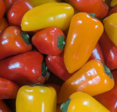 Produktfoto zu Snackpaprika spitz bunt