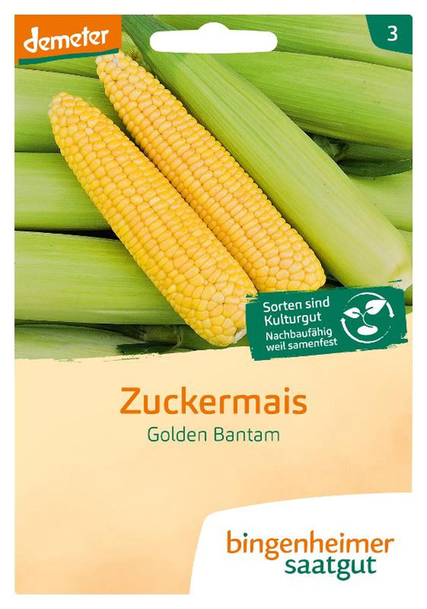 Produktfoto zu Zuckermais Golden Bantam