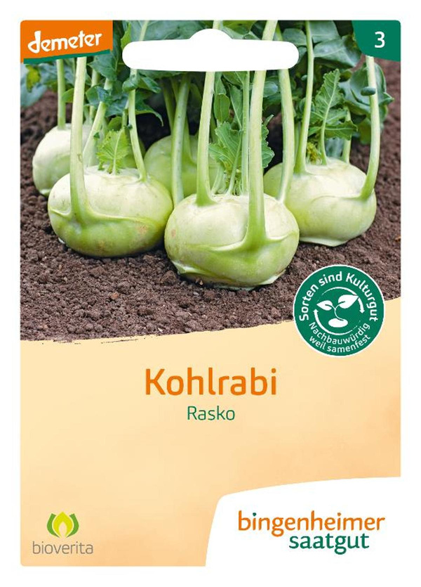 Produktfoto zu Weißer Kohlrabi Rasko