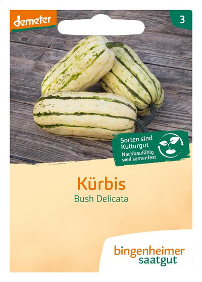 Produktfoto zu Kürbis Bush Delicata