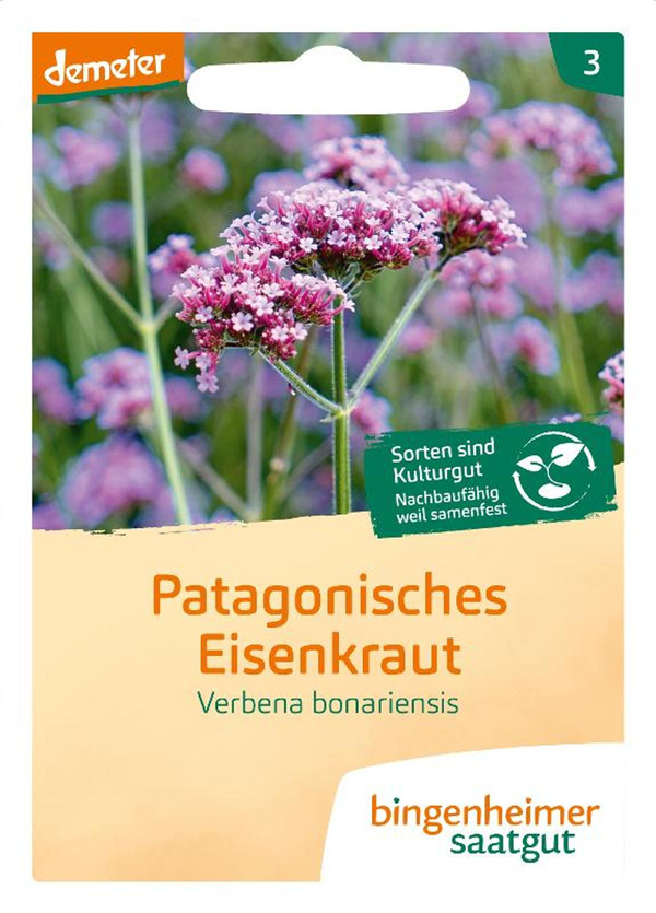 Produktfoto zu Patagonisches Eisenkraut